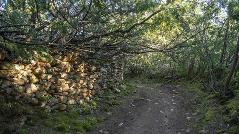 Las piedras de los muros que bordean una parte del camino proceden de una antigua mina de oro