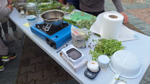 Una actividad de la Asociaci�n Fontes del Porc�a relacionada con el mundo de las plantas