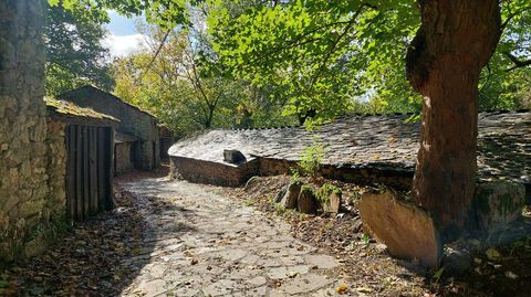 Muchas de las bodegas estn semienterradas para obtener frescura
