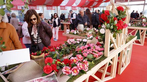 Numerosas personas se acercaron hasta la zona para ver la exposici�n 