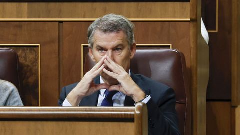 El presidente del Partido Popular, Alberto N��ez Feijoo, en el pleno en el que se debaten y votan los decretos del Gobierno en el Congreso