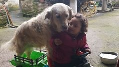 Unha Golden retriever e d�as xeraci�ns de irm�ns protagonizan unha historia de amor e amizade