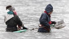 Mariscadoras de Corcubi�n en la r�a.