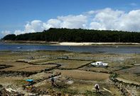 Los parques tambi�n son visitados por los animales que cruzan hasta Cortegada.