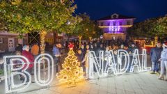 Encendido navide�o en Camari�as
