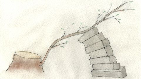 �Talar�, dibujo homenaje del arquitecto Rodrigo de Miguel a �Naturalezas�, la obra destrozada en el Campo San Francisco por el Ayuntamiento de Oviedo