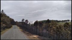 Huellas del incendio forestal orginado en Marcelle, que afect� tambi�n a la parroquia soberina de Doade