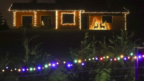 Decoracin de las viviendas de Gunxel, en As Neves