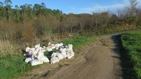 Los treinta sacos de escombro fueron localizados en una pista forestal.