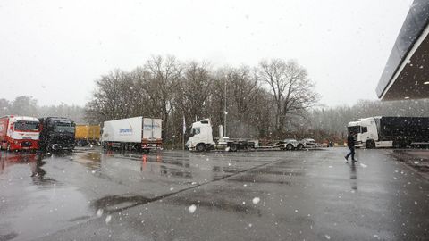 La nieve cay� en algunos momentos de la tarde de este viernes