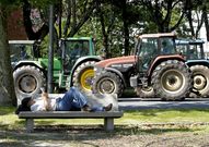 Un hombre descansa en un banco al paso de los tractores. 