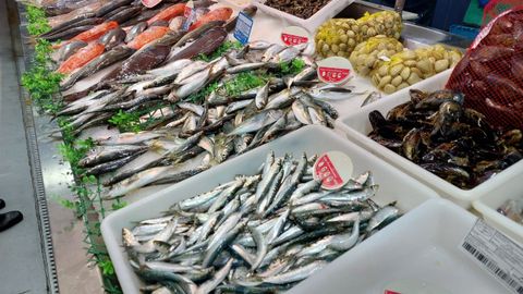 Puesto de pescado y marisco de la plaza de Abastos de Ourense