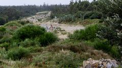 La maleza ha invadido las obras.