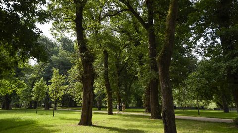 Inauguraci�n de la rehabilitaci�n del parque jard�n y la carballeira de Caldas de Reis