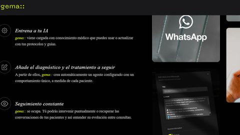 Interfaz de la plataforma de IA Gema