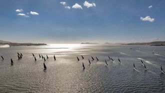 Salida de la regata Solitaire du Figaro desde el Puerto de Vigo.