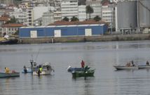 En el banco marisquero del Parrote est�n faenando una media de doce embarcaciones. 