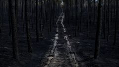 Incendios en Portugal