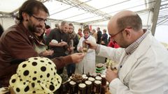 Anteriores ediciones de la Feira do Mel e o Queixo de Goente, en As Pontes