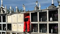 Sin pausa. Uno de los miembros del GAEM de Ribeira retirando un nido de velutina de un nicho del camposanto de Santa Ux�a. Hasta ah� han llegado los insectos, que siguen expandi�ndose