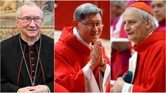 Parolin, Tagle y Zuppi, en imgenes de archivo