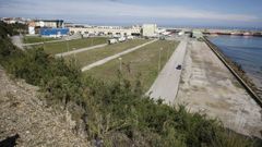 Seg�n el Concello, la empresa noruega pretende ocupar unos 25.000 metros cuadrados en el puerto burelense