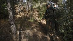 Catalu�a quiere eliminar a todos los jabal�es en el radio de 20 kil�metros delimitado por la peste�porcina