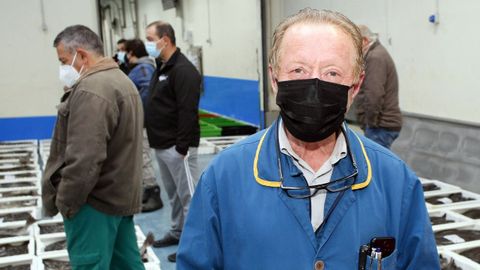 Xusto García, este mércores, nunha subasta de merluza en Burela, a única lonxa do mundo onde un ordenador canta os prezos
