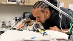 El piloto, con su mascota en el centro veterinario donde est siendo atendido.