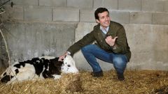 Pablo Casado acaricia un ternero en una granja de Zamora