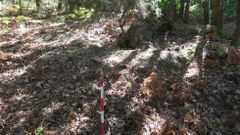 Restos de una de las m�moas ahora documentadas por la asociaci�n