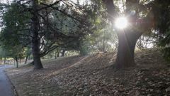 Vista del parque de Moreda, en Gijón, este martes, cubierto de hojas secas, que anuncian la llegada prematura del otoño, que oficialmente comienza el próximo 21 de septiembre