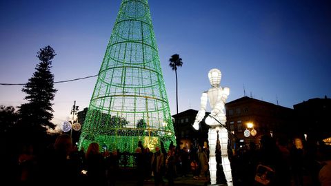 rbol gigante en la plaza de Espaa