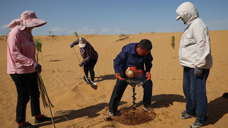 Trabajos de forestaci�n en el desierto de Kubuqi, en la regi�n china de Mongolia Interior.