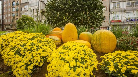 Jardines en Carballo 