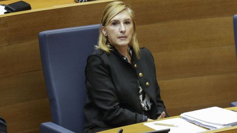 La exconsejera de Justicia e Interior de la Comunidad Valenciana, Salomé Pradas.