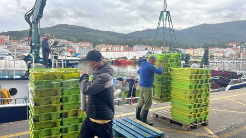 Un cerquero descargando en Portosn jurel capturado al sur de Fisterra