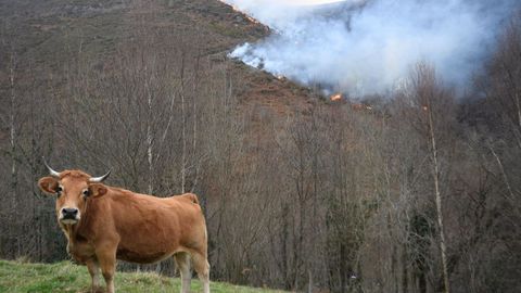 Incendios forestales en Asturias en una imagen de archivo