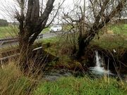 R�o de Santa Comba de Ba��as que pretenden limpiar.