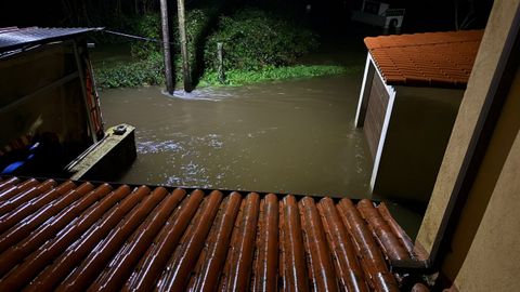 Lamas, Extramundi, en Padr�n