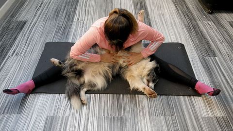 Patricia Guerrero, haciendo posturas en una sesin de doga