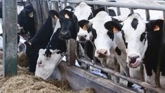 Espa�a importa cada vez m�s leche cruda y m�s productos l�cteos, seg�n Fenil