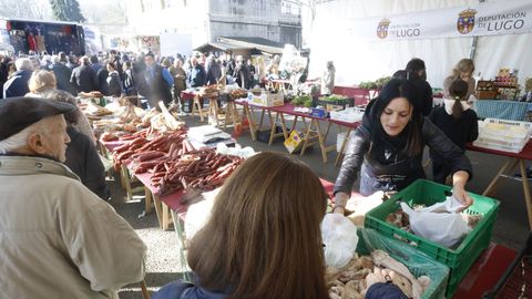 Feira de Entroido de Nadela