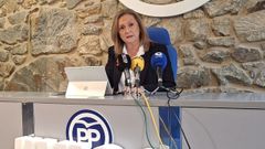 Luisa Sanchez, del PP de Vigo, pidi� la dimisi�n de la concejala por el accidente del Saltamontes