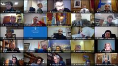 Pleno telem�tico en la Diputaci�n ourensana