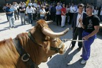 La convocatoria ya ha pasado por distintos escenarios. 