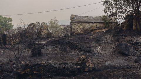Incendio en Trives y Manzaneda