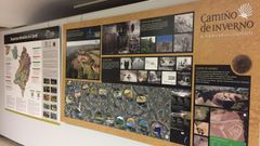 Los paneles de la exposici�n, organizada por la asociaci�n Alumni USC, ya est�n instalados en la Casa de Cultura