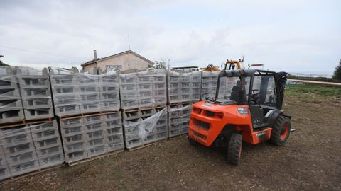 Material apilado y maquinaria estos das en el apeadero de Fazouro, en Foz