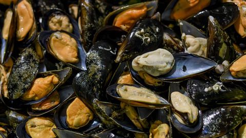 Mejillones en un cocedero (foto de archivo), adonde los gallegos llegan y de donde salen con todas las garantías sanitarias gracias a los controles diarios del Intecmar
